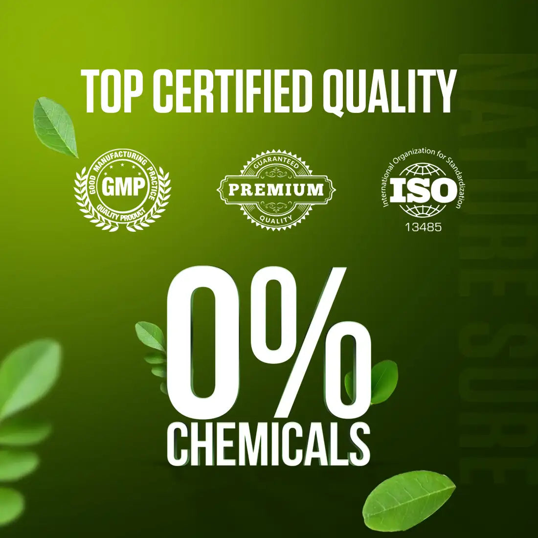 Nature Sure Moringa Leaf Atta Mix Powder for Iron and Calcium Deficiency - 200g